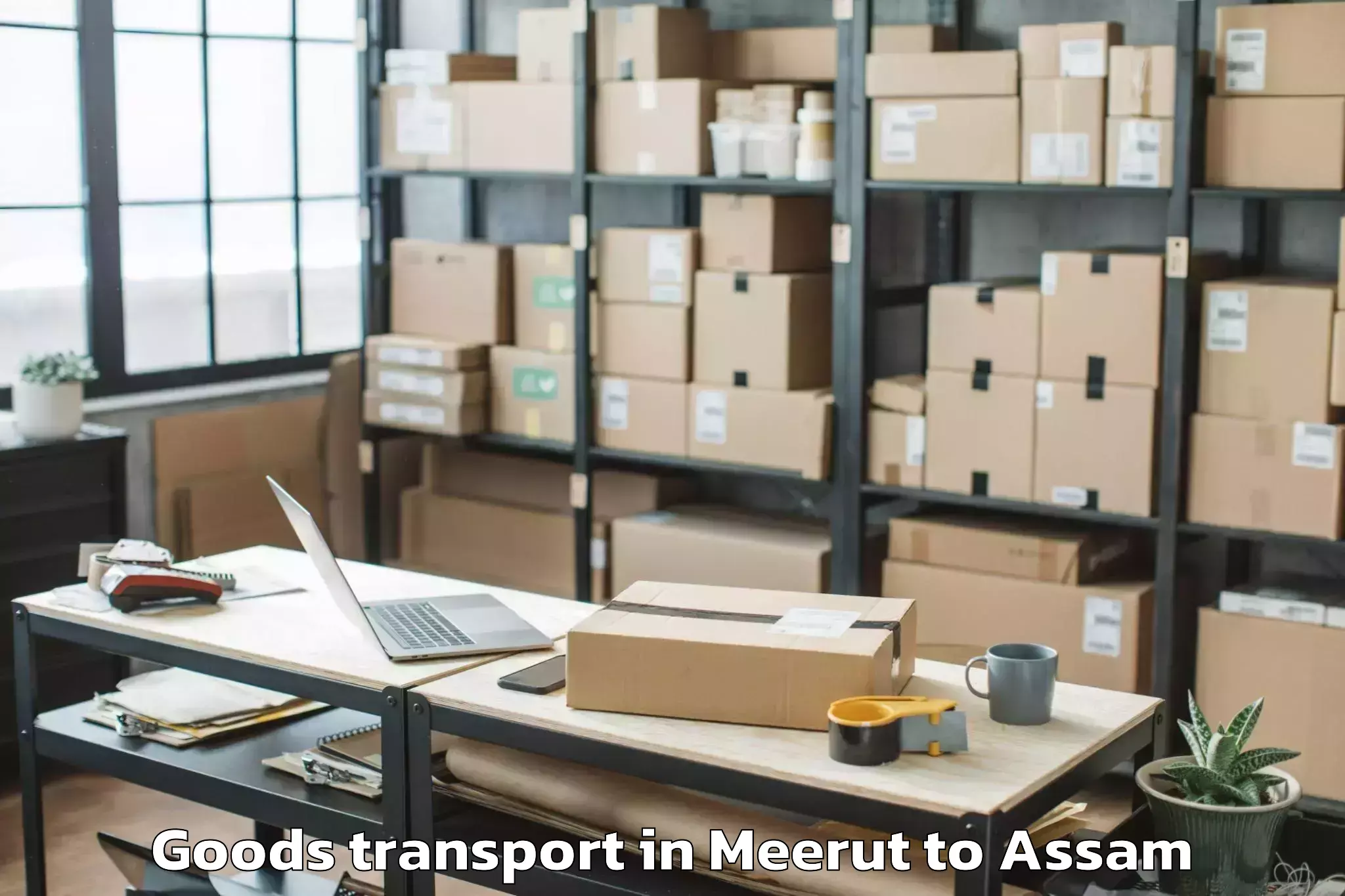 Meerut to Dhekiajuli Goods Transport Booking